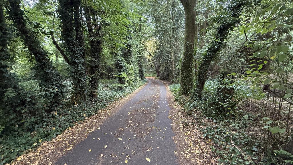 Lot: 2 - APPROXIMATELY FIVE ACRES OF WOODLAND - Outside image of woods with road